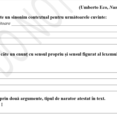 Teza la Limba și literatura română, clasa a X-a, profil umanist– disponibilă în 2 variante [fișiere .DOCX]